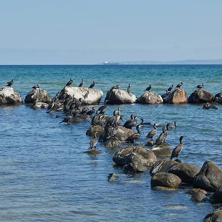 6 Person In Gilleleje-by Traum Tatil Evi