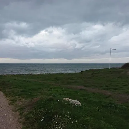 Tatil Evi 6 Person In Gilleleje-by Traum Gilleleje